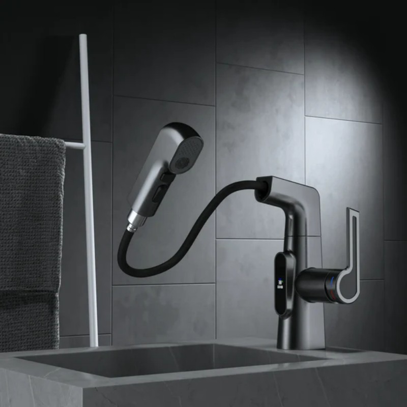 Lift-Type Pull-Out Faucet